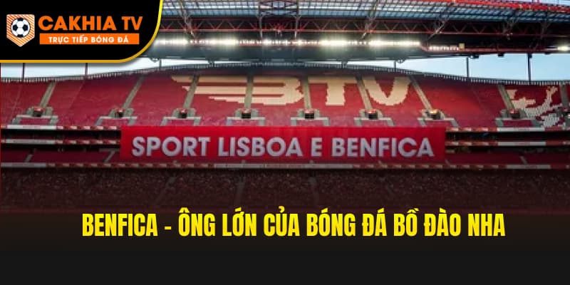 Benfica – Ông lớn của bóng đá Bồ Đào Nha
